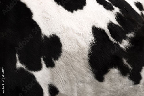 Cow hide print
