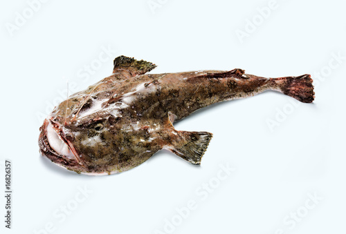 Devilfish (Seeteufel)