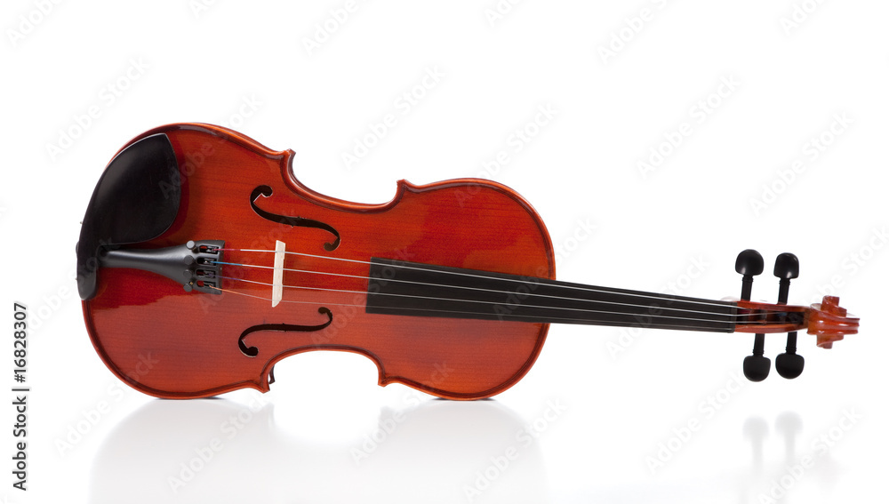 Fototapeta premium Classical Violin on White