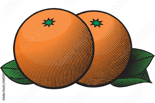 Etched_Oranges