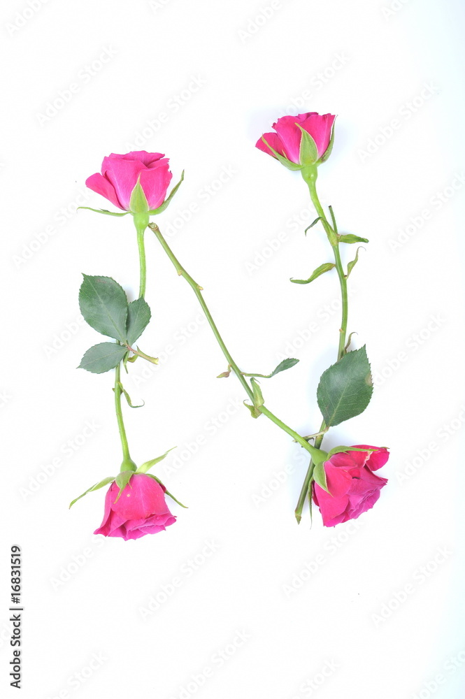 letter N letter N