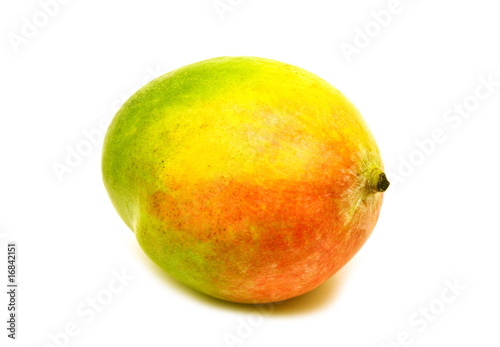single mango on white background