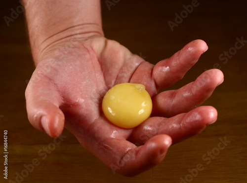egg yolk in palm of hand.
