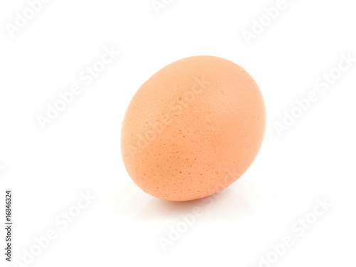 One single egg over white background