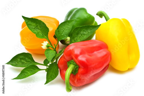 Fotografie, Tablou colorful bio fresh paprika