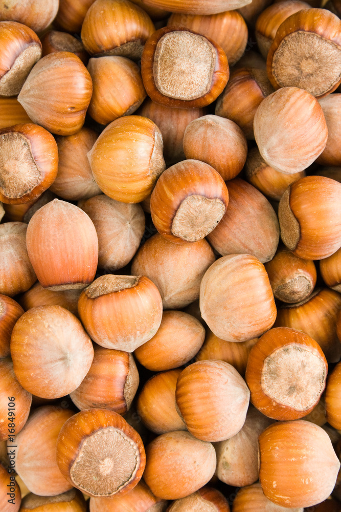 Hazelnuts - natural background