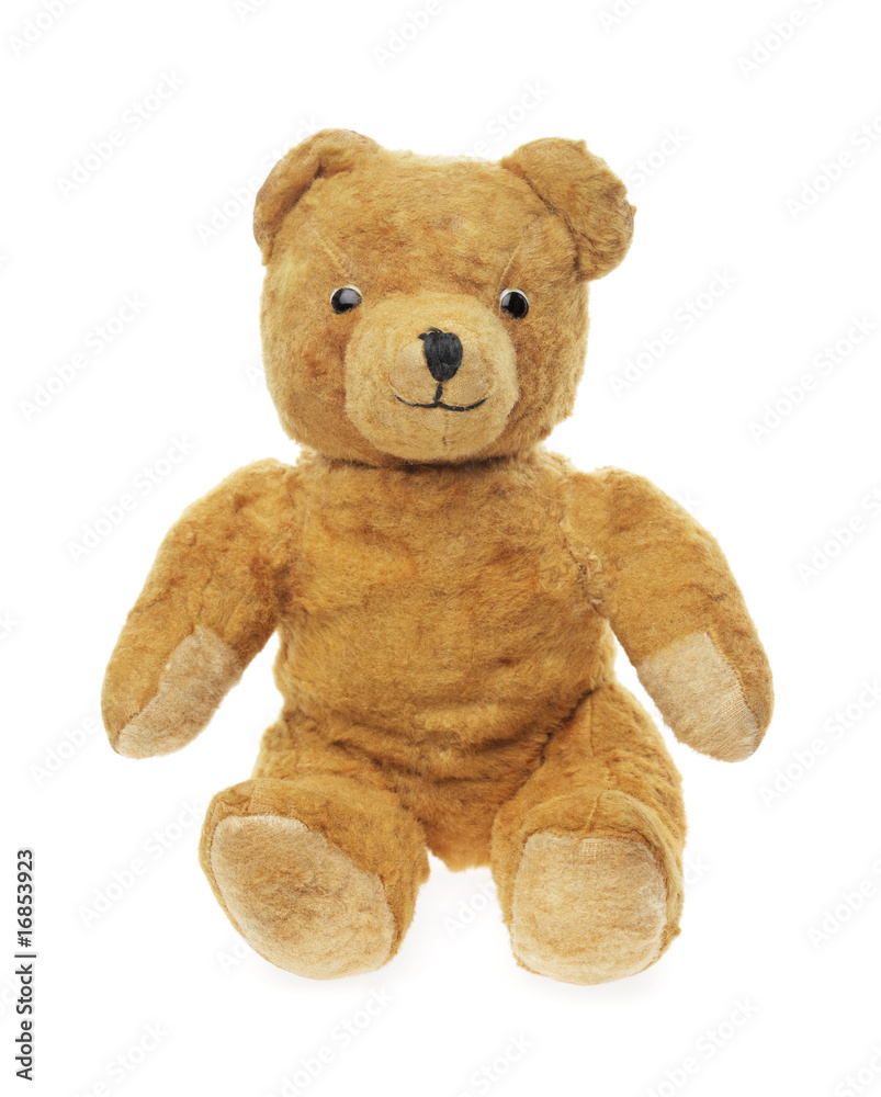 Obraz premium Vintage teddybear