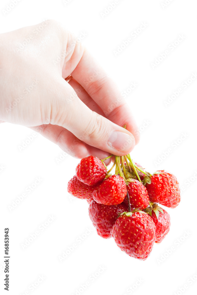 Obraz premium Red strawberry in hand isolated on white