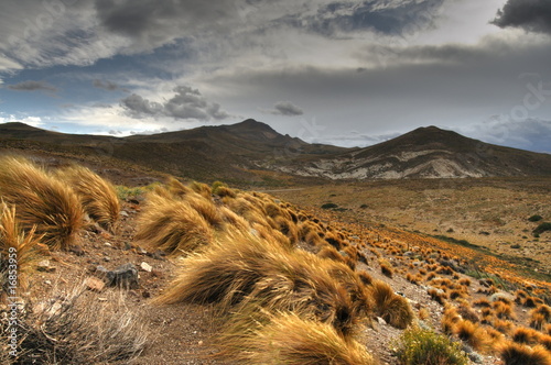 Grassland in patagonia, Agentina