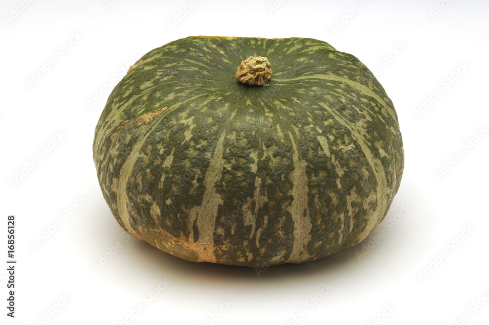 Cucurbita maxima Cucurbita maxima