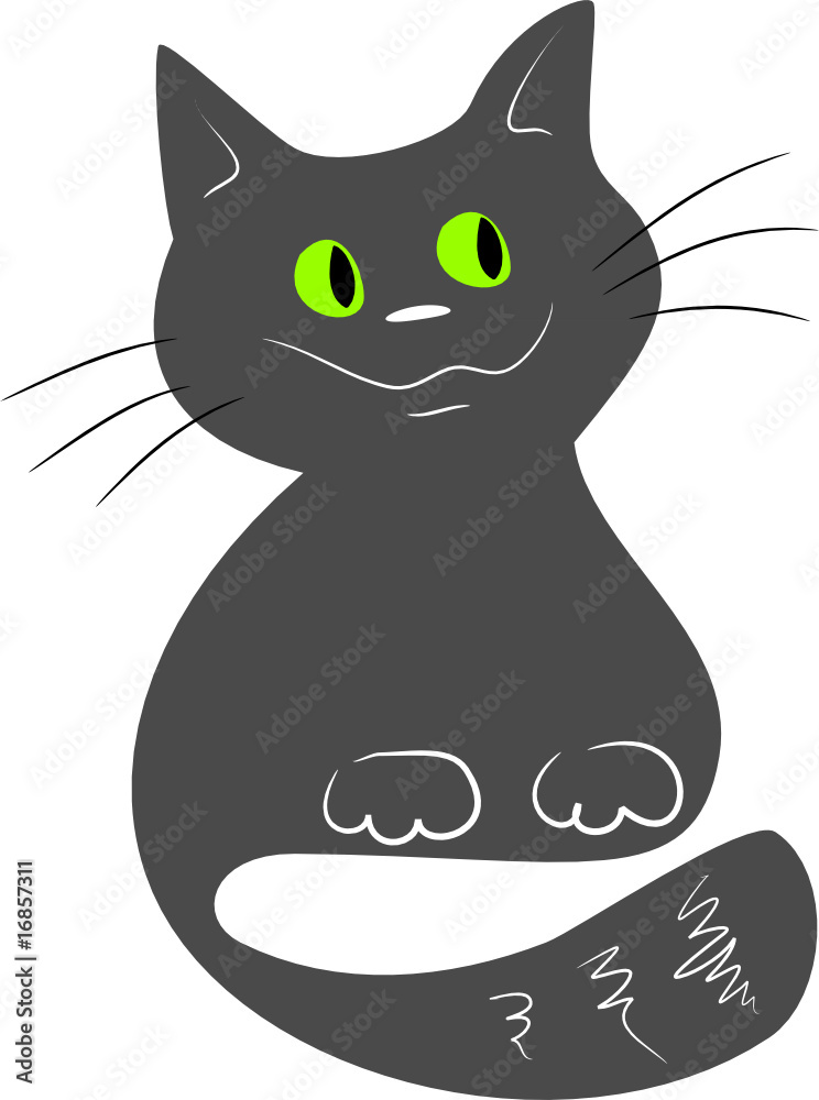 Grey cat Grey cat