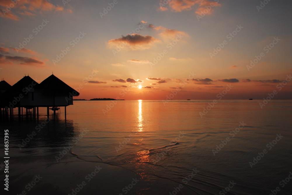 maldives/モルディブ maldives/モルディブ