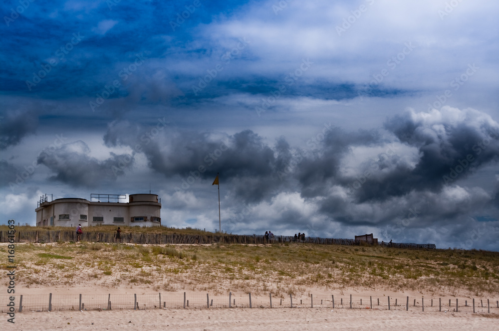 custom made wallpaper toronto digitalMimizan