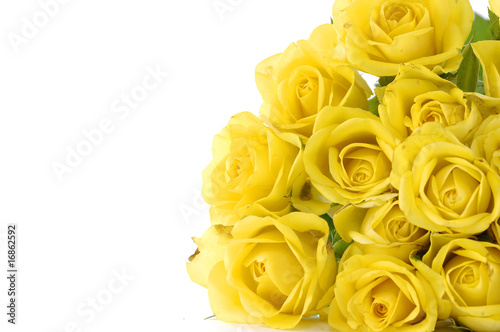 Border of Bouquet of yellow roses