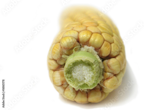 corncob