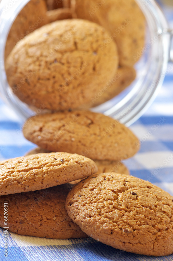 Oatmeal cookies close-up Oatmeal cookies close-up