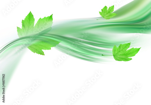 soft green background and leaves