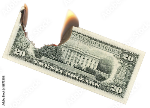 Burning Dollars