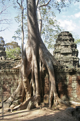 "fromager" du site de "TA PROHM" aux temples d'Angkor