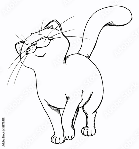 Katze, Kater, stolz, fröhlich, glücklich