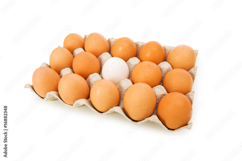 Stand out of crowd concept with eggs on white Stand out of crowd concept with eggs on white