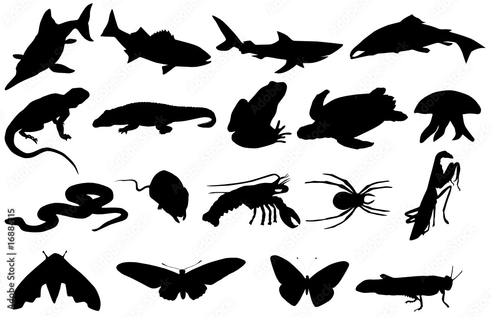 Animal silhouettes