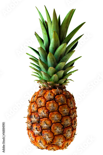 The Ananas