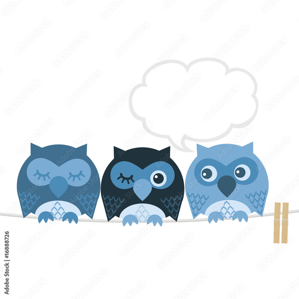 Obraz premium Owl