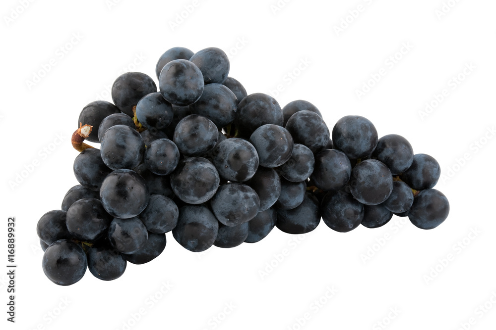 bunch of fresh blue grapes, isolated on white background bunch of fresh blue grapes, isolated on white background