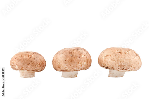 three champignons, isolated on white background