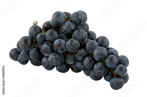 bunch of fresh blue grapes, isolated on white background