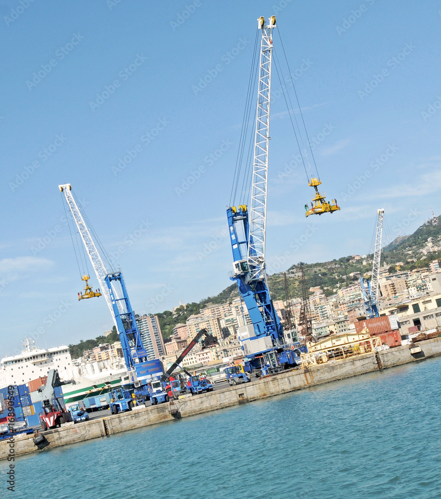Fototapeta premium gru al lavoro