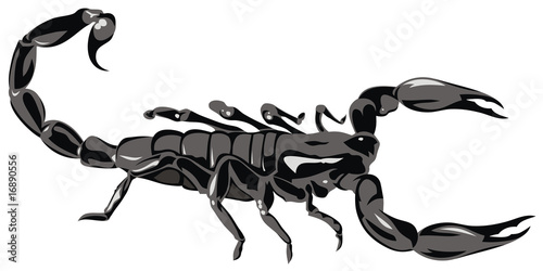 Scorpion