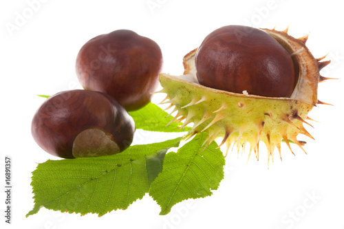 Chestnuts isolated