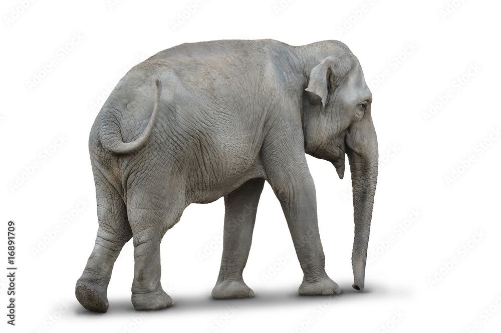 Zoo 65 Zoo 65