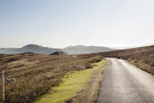 Deserted moor road