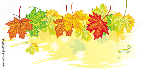 Colorful banner from maple leaves