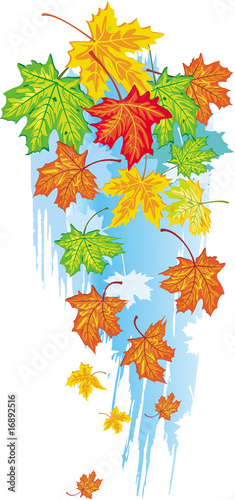 Colorful banner from maple leaves