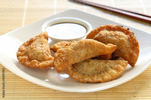 Εκτύπωση καμβά Fried Pot Stickers (Gyoza)
