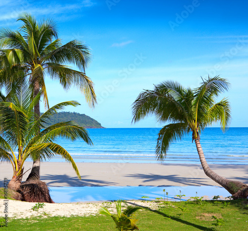 Fototapeta Naklejka Na Ścianę i Meble -  Palms on the tropical beach