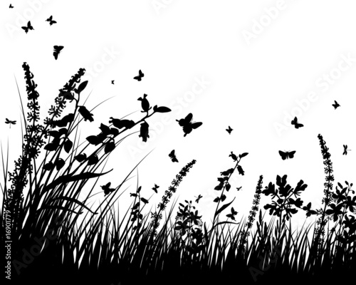 grass background