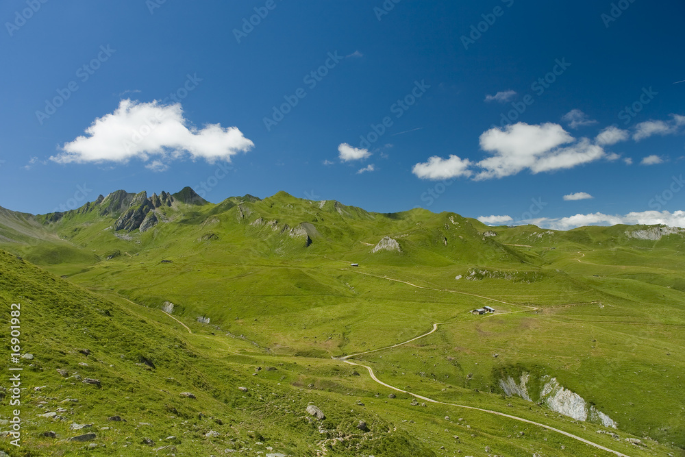 Naklejka premium Alpage en ete