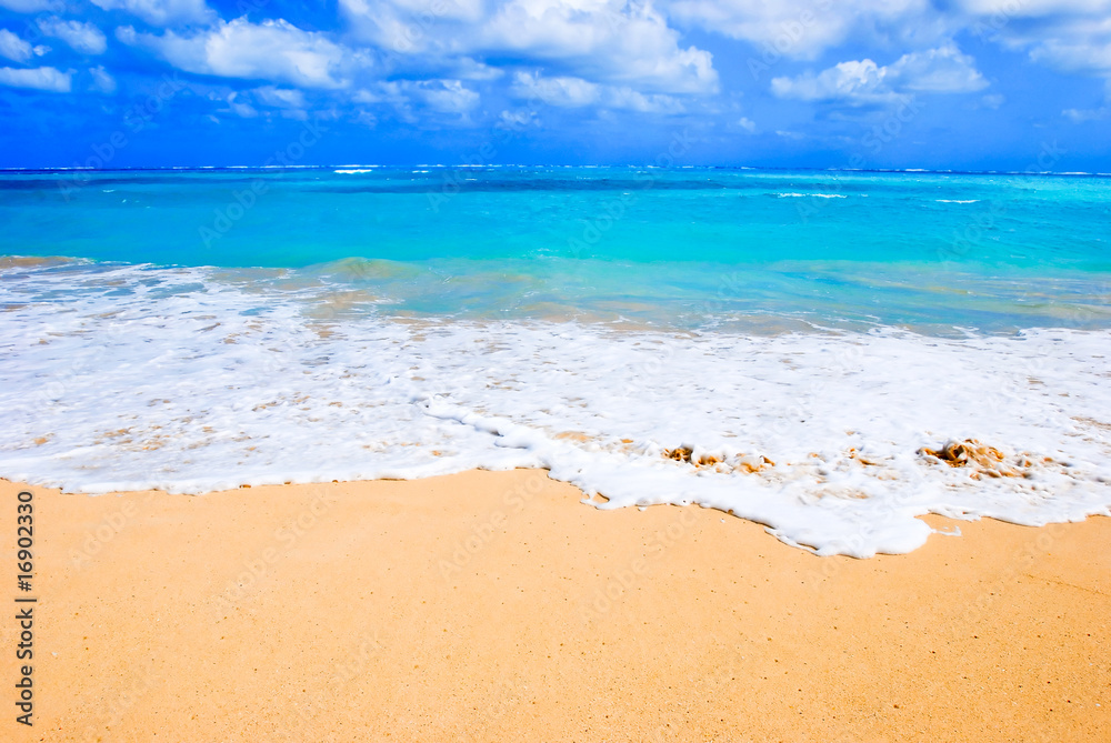 Hawaiian Beach with blue sky