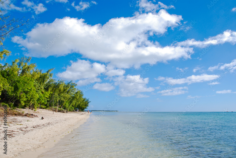 tropical beach in Mauritius