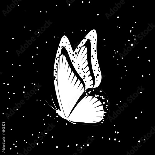 mono butterfly