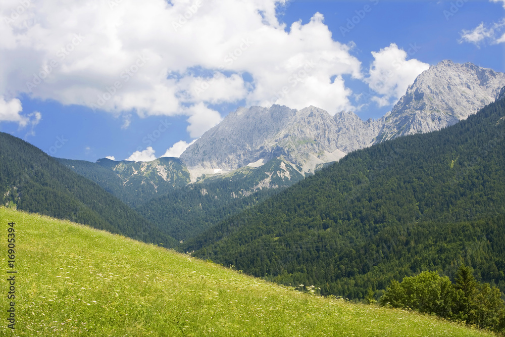 Bavarian alps