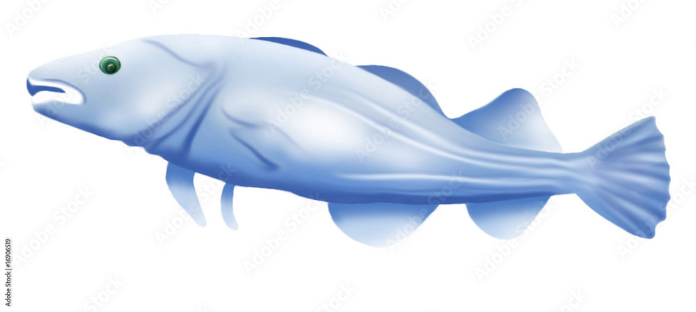 Fisch Fisch
