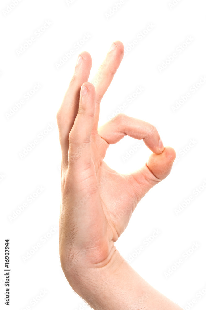 hand hand