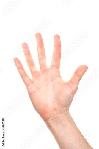 hand