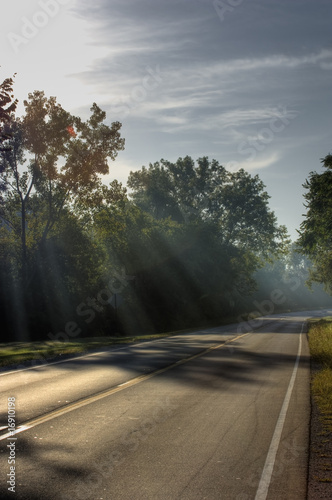 Country Road in the Morning